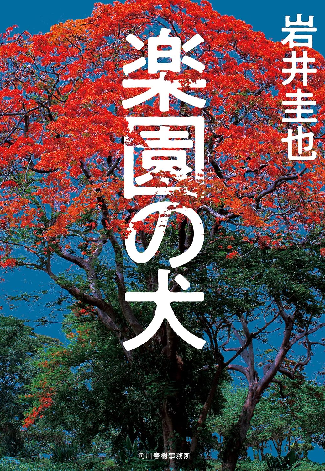 立花もも　10月のおすすめ新刊小説の画像