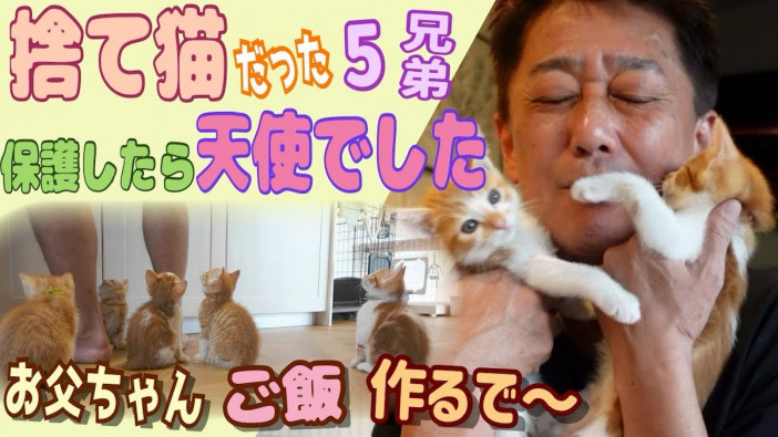 坂上忍、5匹の捨て猫を育てる　子猫の前では別人な姿に視聴者「赤ちゃん言葉がかわいい」