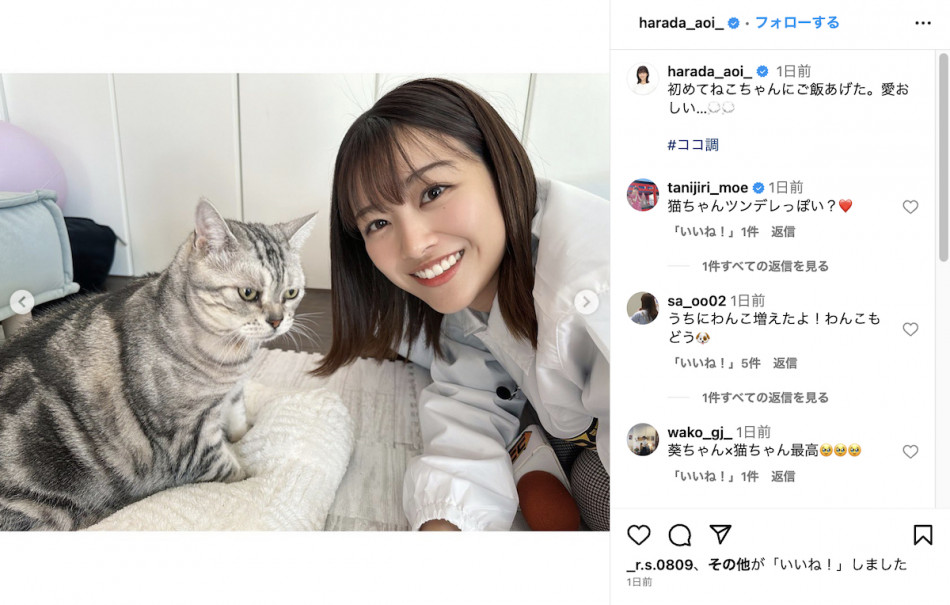 元櫻坂46 原田葵、猫にメロメロ