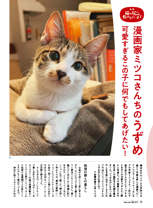 『猫びより』冬号も充実の内容にの画像