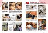 『猫びより』冬号も充実の内容にの画像