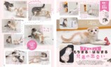 大人気ねこインフルエンサー「もちまる＆はなまる」登場　人間を骨抜きにする魅力を徹底解剖の画像