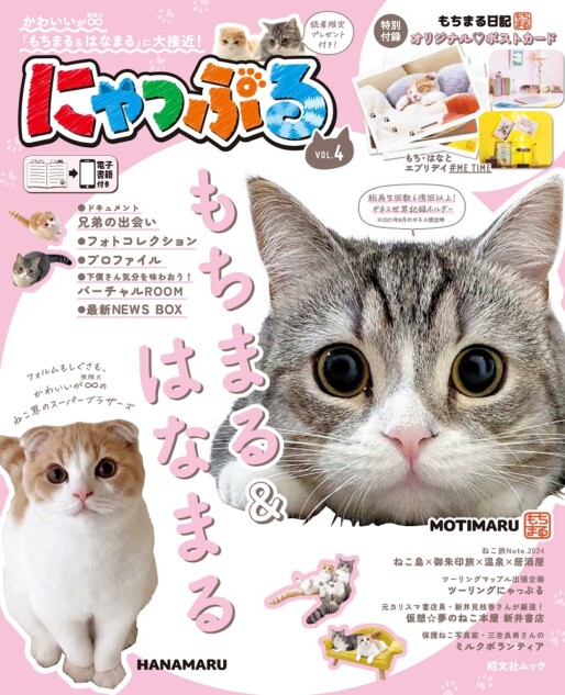 大人気ねこインフルエンサー「もちまる＆はなまる」登場　人間を骨抜きにする魅力を徹底解剖