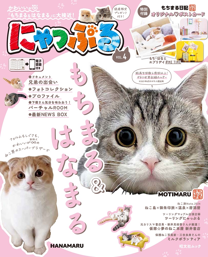 大人気ねこインフルエンサー「もちまる＆はなまる」登場　人間を骨抜きにする魅力を徹底解剖の画像