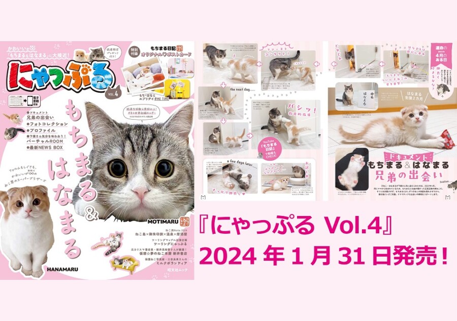 大人気ねこインフルエンサー「もちまる＆はなまる」登場 人間を骨抜き