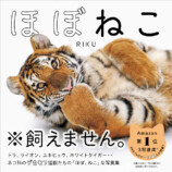 ネコ科の猛獣たちの写真集『ほぼねこ』発売の画像