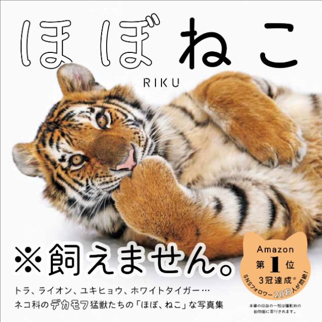 ネコ科の猛獣たちの写真集『ほぼねこ』発売