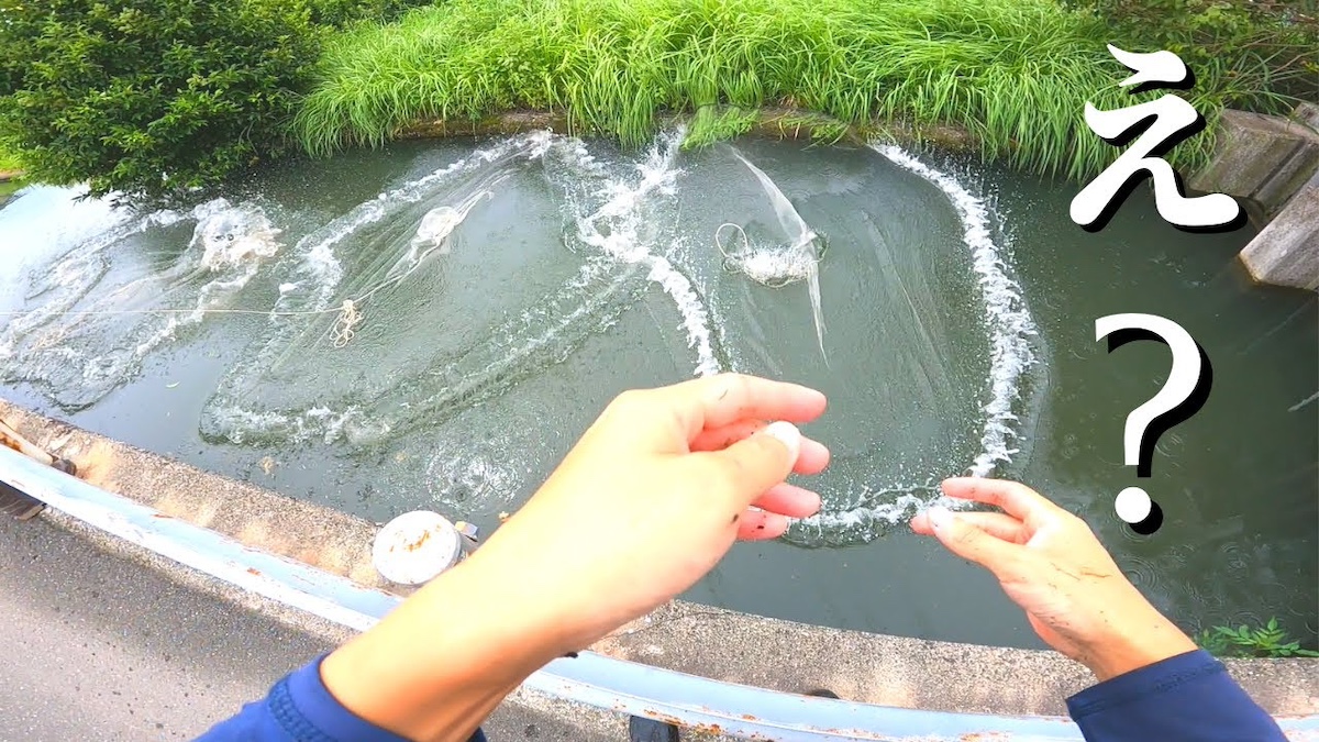 生き物系YouTuberの歴史的快挙の数々