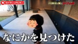 ヒカキン、20億円の豪邸で甥っ子と全力勝負の画像