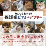 『みんなしあわせ！ 保護猫ビフォーアフター』の画像