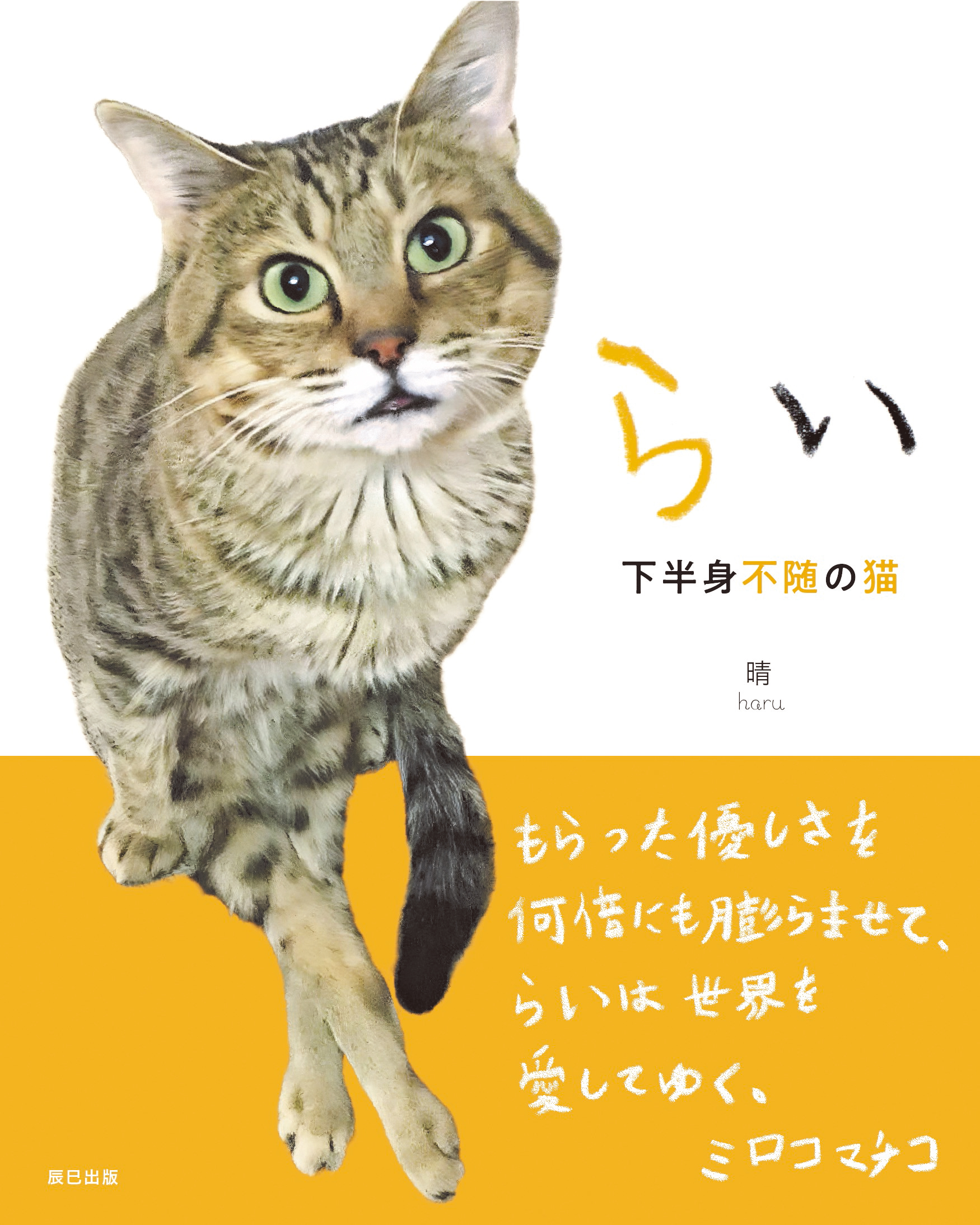 下半身付随でも幸せな猫の画像