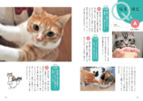 『はじめての猫とのしあわせな暮らし方』の画像