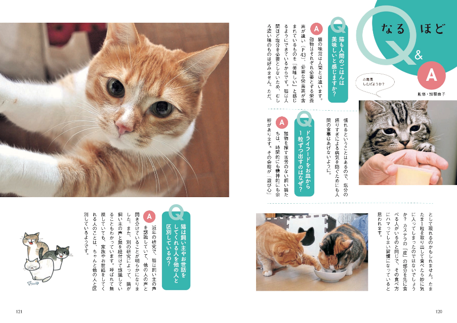 『はじめての猫とのしあわせな暮らし方』の画像