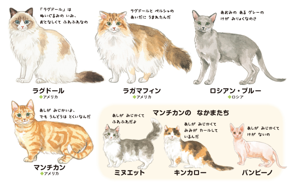 絵本のような図鑑『ねこのずかん』『いぬのずかん』の画像