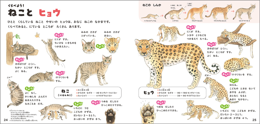 絵本のような図鑑『ねこのずかん』『いぬのずかん』の画像