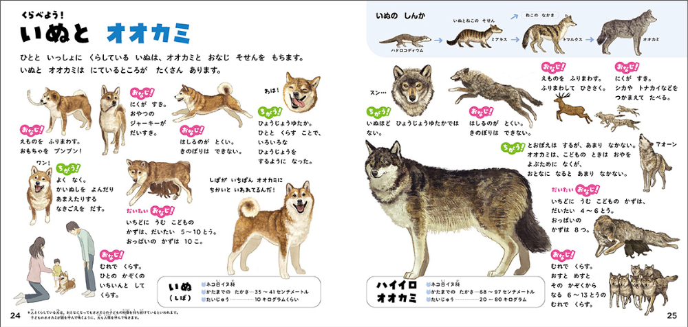 絵本のような図鑑『ねこのずかん』『いぬのずかん』の画像