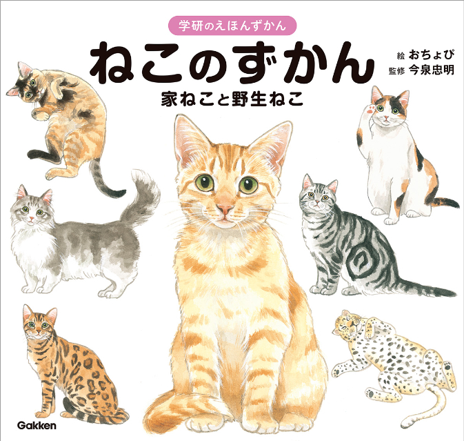 絵本のような図鑑『ねこのずかん』『いぬのずかん』の画像