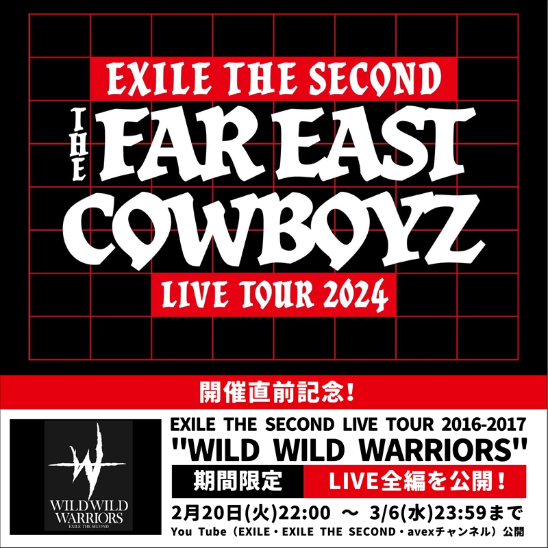 『EXILE THE SECOND LIVE TOUR 2016-2017 “WILD WILD WARRIORS”』ライブ映像告知画像