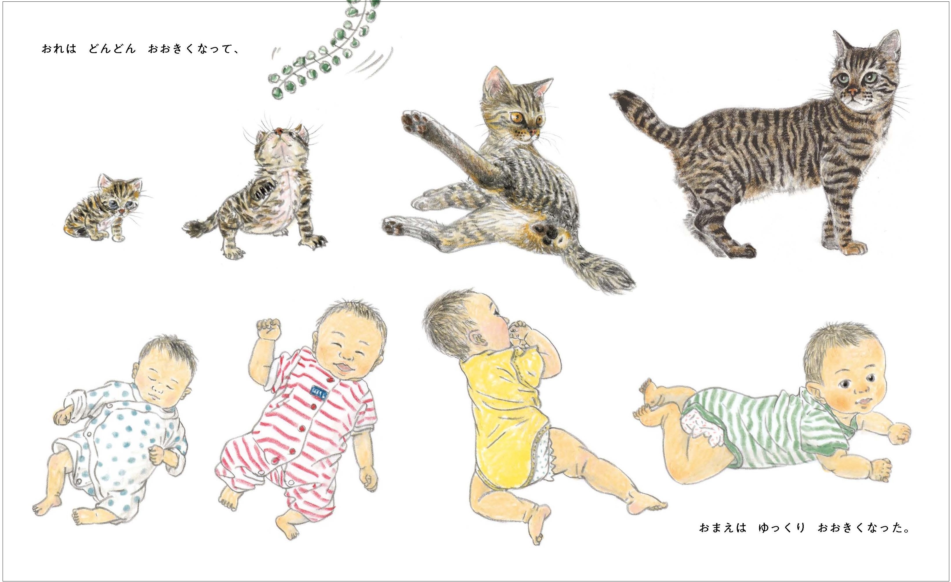 猫の目を通して子どもの成長と巣立ちを描く絵本の画像