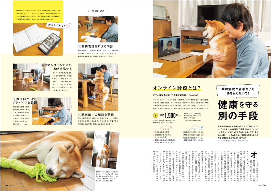 柴犬専門誌『Shi-Ba【シーバ】』病院特集の画像