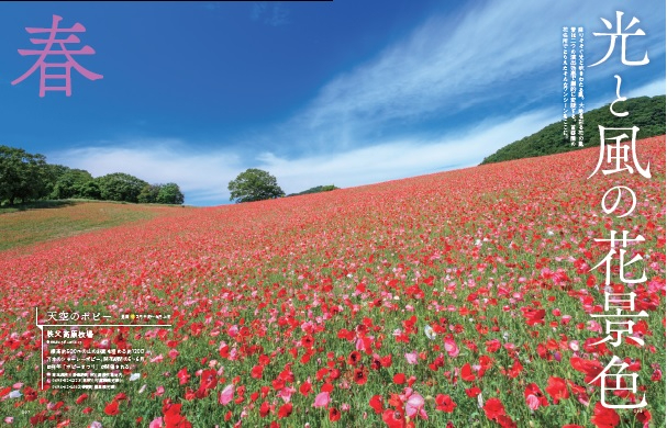 花の楽園をめぐる『花さんぽ 首都圏版』の画像