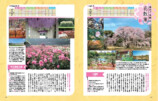 花の楽園をめぐる『花さんぽ 首都圏版』の画像