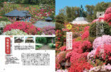 花の楽園をめぐる『花さんぽ 首都圏版』の画像