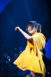 『aiko Live Tour「Love Like Pop vol.24」』ライブ写真（撮影＝岡田貴之）