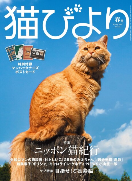 猫の本、ニーズにあわせた細分化でヒット作続々 猫専門誌編集長が分析
