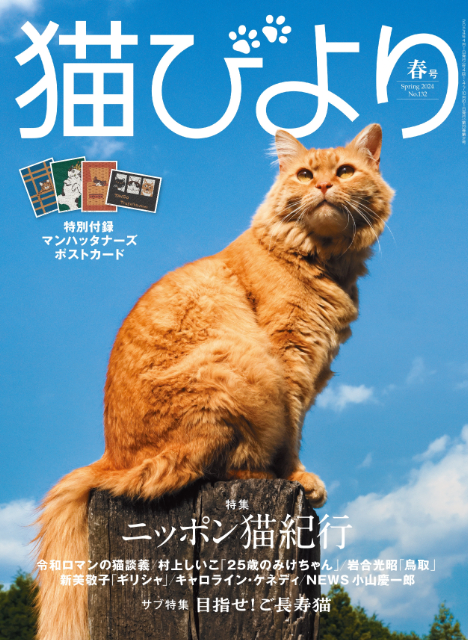 M-1王者・令和ロマンも登場『猫びより』2024年春号の画像