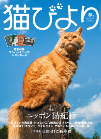 M-1王者・令和ロマンも登場　SNSで話題のご長寿ネコ・日本各地の名物ネコを特集『猫びより』2024年春号