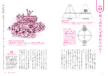 伝統的な風習やネットミームを民俗学で考えるの画像