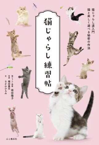 猫撮影のプロによる、世界初の“猫じゃらしの本”　可愛い写真たっぷりの『猫じゃらし練習帖』