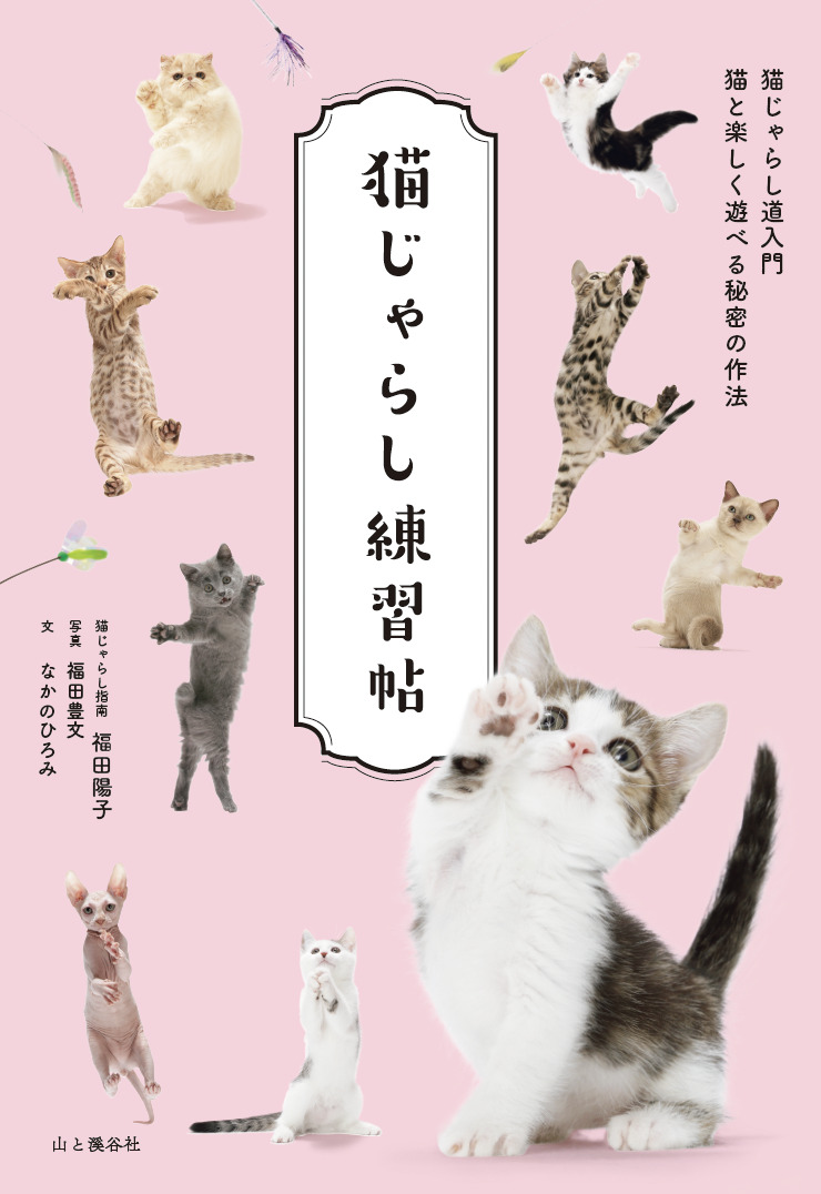 猫撮影のプロによる世界初「猫じゃらし」本