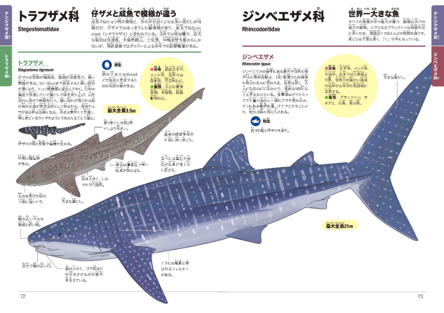 「くらべてわかる図鑑」に待望のサメが登場の画像