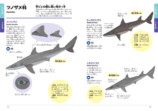 「くらべてわかる図鑑」に待望のサメが登場の画像
