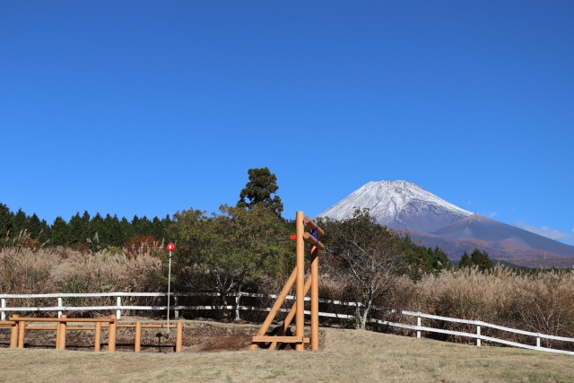 『FUJI & SUN’24』富士山こどもの国アクティビティイメージ画像