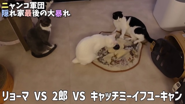 坂上忍、フルリフォームした自宅を公開の画像