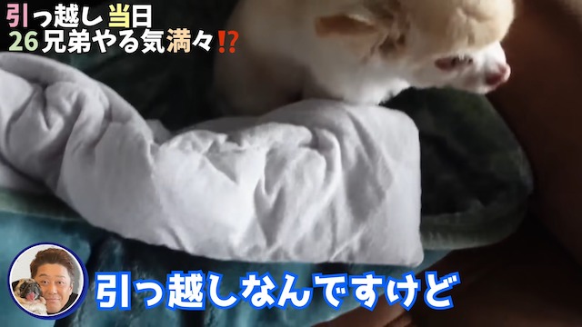 坂上忍、フルリフォームした自宅を公開の画像