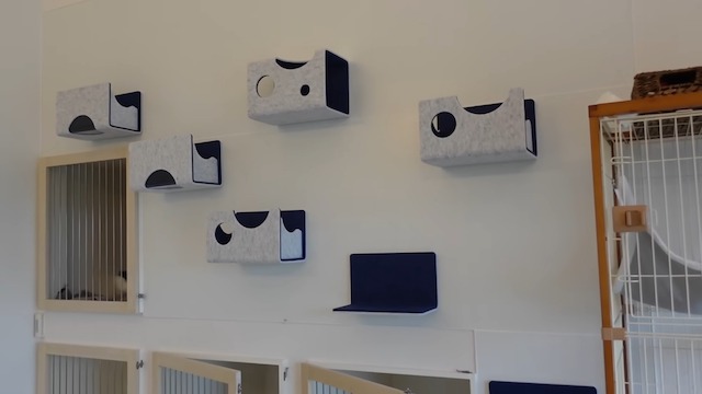 坂上忍、フルリフォームした自宅を公開の画像