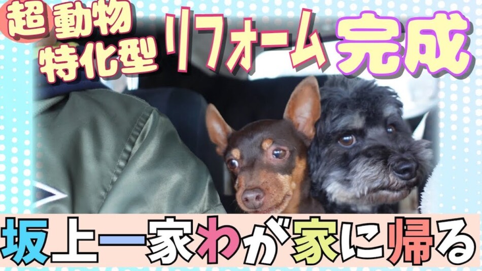 坂上忍、フルリフォームした自宅を公開