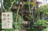 『森のカフェと緑のレストラン』神奈川版の画像
