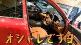 チョコプラ長田、国産スポーツカーを紹介の画像