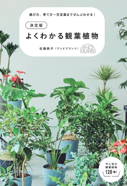 観葉植物120種を厳選『決定版　よくわかる観葉植物』