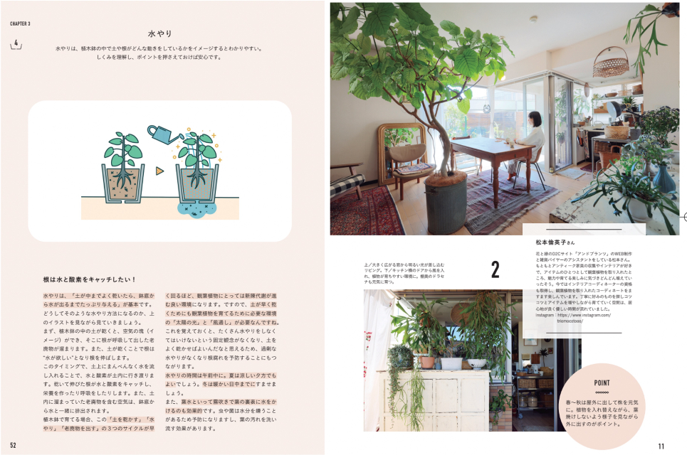 観葉植物120種を厳選『決定版　よくわかる観葉植物』の画像