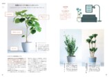 観葉植物120種を厳選『決定版　よくわかる観葉植物』の画像