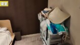 関根りさ、大改造した自宅をルームツアーの画像