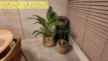 関根りさ、大改造した自宅をルームツアーの画像