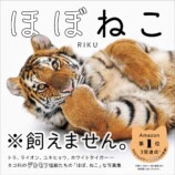 辛酸なめ子激賞『ほぼねこ』3度目の重版の画像