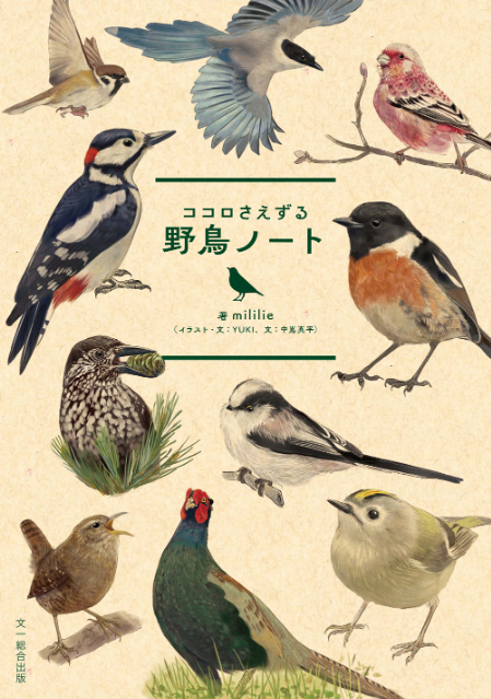 野鳥イラスト満載『ココロさえずる野鳥ノート』の画像